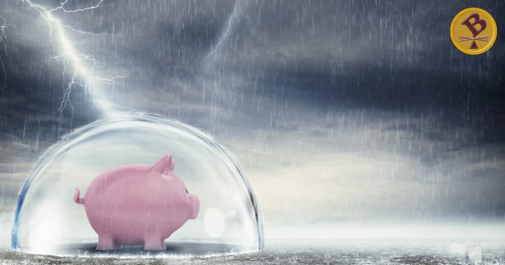 Piggy Bank Protected from Storm - Proven Strategies to Protect Your Assets from the IRS