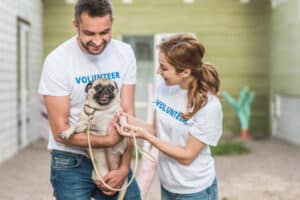 Volunteers at Animal Shelter